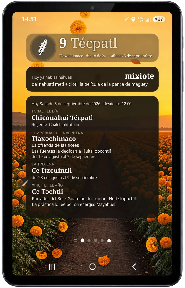 Los widgets en la pantalla de inicio